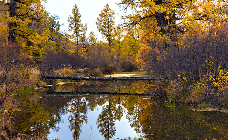 mongolia autumn photos